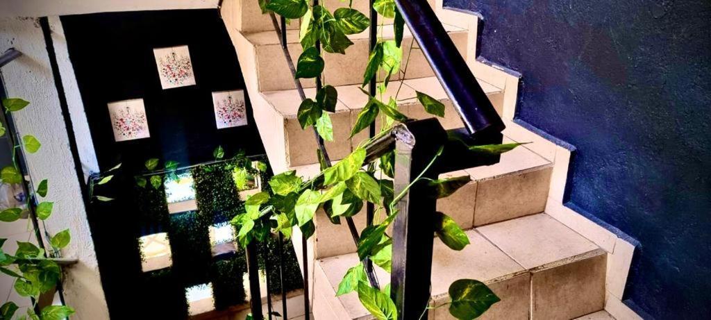 Mini Hotel סן לואיס פוטוסי מראה חיצוני תמונה